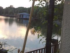 -东湖食堂·湖景餐厅•会议