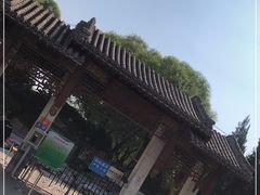 -团结湖公园