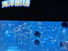 -南昌海洋公园