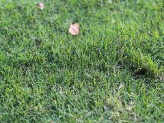 -苏州太湖国际高尔夫俱乐部