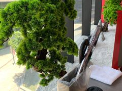 -明洞王妃家烤肉(苏州中心星悦汇店)