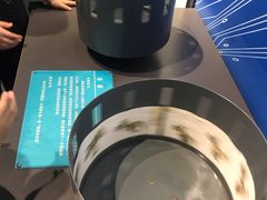 -陕西自然博物馆