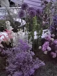 -醉库庄园·宴会厅·草坪婚礼场地