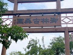 -御林古桑园