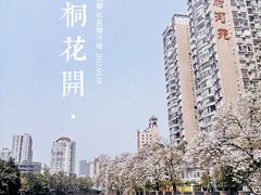 -红星桥(地铁站)