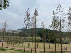 -牛岗山公园