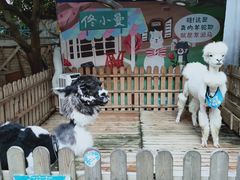 -佟小曼手工茶饼坊(鼓浪屿1店)