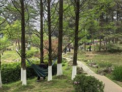 -铁山坪森林公园