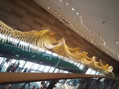 -北京园博大酒店