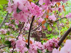 -元大都城垣遗址公园