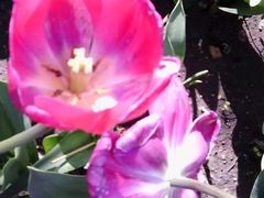 -长春公园(普阳街道)