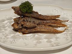 -鹿园 MOOSE(长宁店)