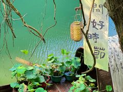 -石台牯牛降景区