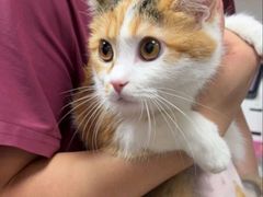 -艾贝尔宠物医院 ·中兽医·宠保定点(北门桥店)