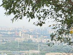 -火炉山森林公园