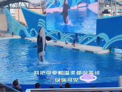 -上海海昌海洋公园