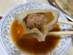 -马大刚白记包子