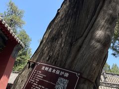 -南阳卧龙岗武侯祠