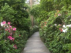 -铁山坪森林公园