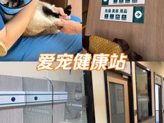 -爱派特动物医院·全科诊疗中心