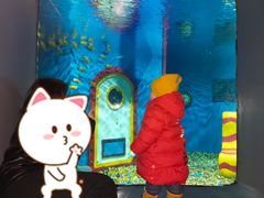 -大连圣亚海洋世界