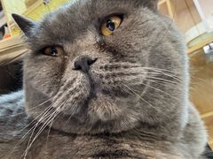 -平行世界·猫咖(首经贸店)