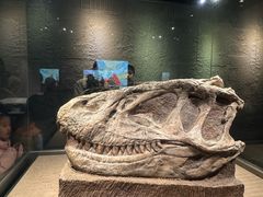 -自贡恐龙博物馆