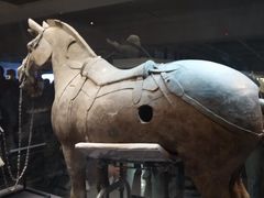 -秦始皇帝陵博物院-丽山园