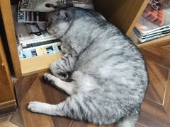-隅cafe(傅厚岗店)