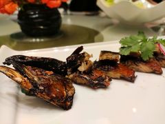-骏莱海鲜鱼港(五角场店)