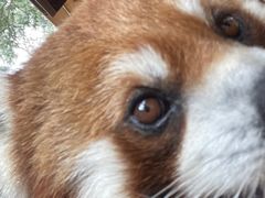 -云南野生动物园
