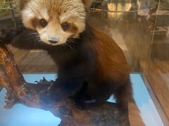 -陕西自然博物馆