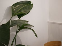 包房-Cafe Villa