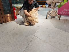-FAELING PETS美天灵宠物(富力广场店)