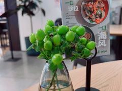 -gaga(深圳南山益田假日广场店)