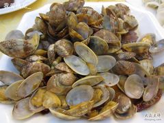 青岛&nbsp;030辣炒蛤蜊-海岛渔村大酒店(云霄路店)