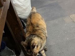 -协和菜馆(凤凰街店)