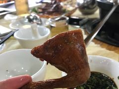-一煲鸽