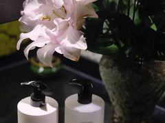 -滇野云南野生菌餐厅(陕西南路店)