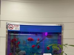 -雅悦齿科(顾村公园店)