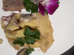 -陶缘一号·四季缘·老字号顺德菜·户外婚礼家宴(西滘店)