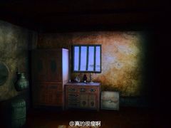 -贝壳梦幻世界