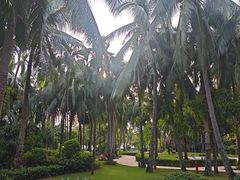 -三亚湾海居铂尔曼度假酒店