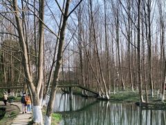 -桤木河湿地公园