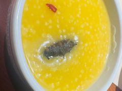 -鸽舞笙平金牌烧鸽子·融合菜(鲁谷店)