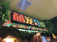 -萌宠奇缘