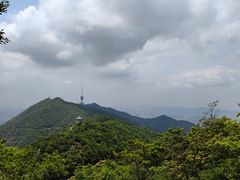 -梧桐山风景名胜区