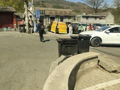 -大觉寺-停车场