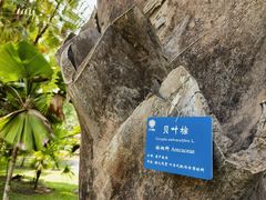 -中国科学院西双版纳热带植物园