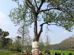 -宜兴龙背山森林公园